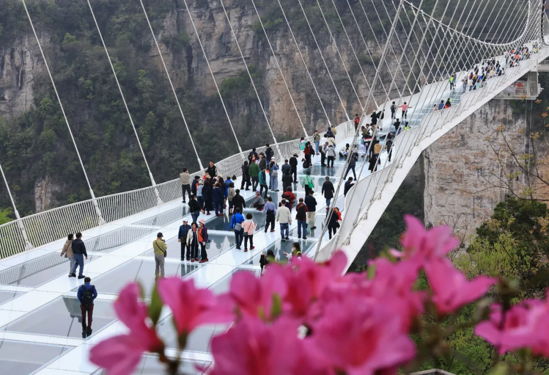 游人在张家界大峡谷风景区体验高空玻璃桥。